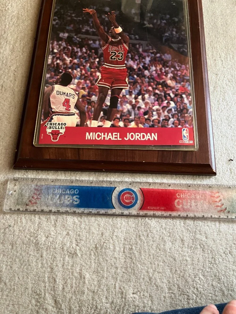 Michael Jordan Wood Plaque